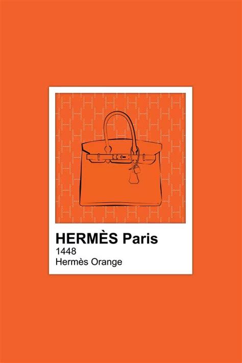 hermes pantone orange|tiffany blue Hermes orange.